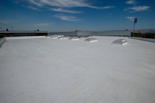 Best 4 Ply Roofing  in Gotha, FL