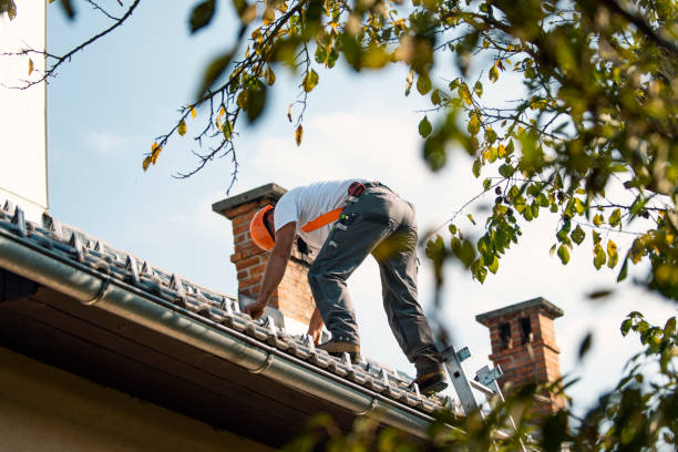 Cold Roofs in Gotha, FL