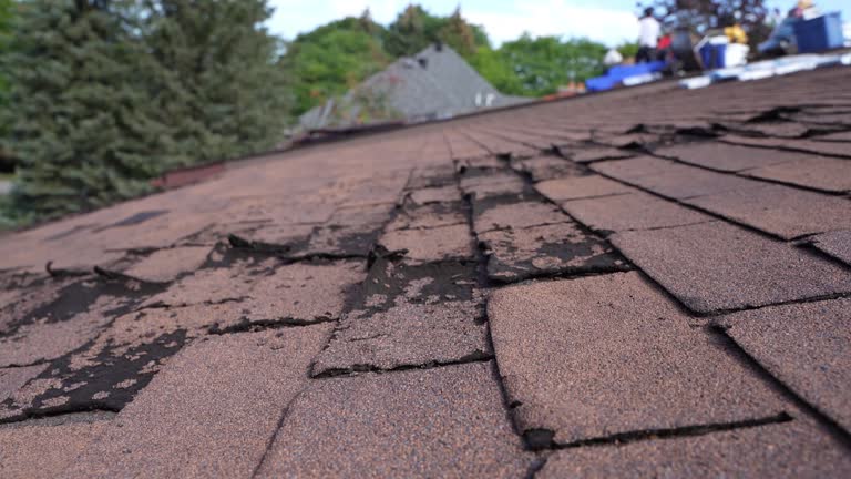 Best Roof Insulation Installation  in Gotha, FL
