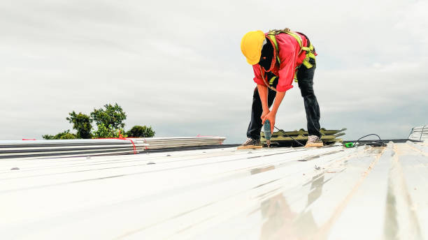 Best Chimney Flashing Repair  in Gotha, FL