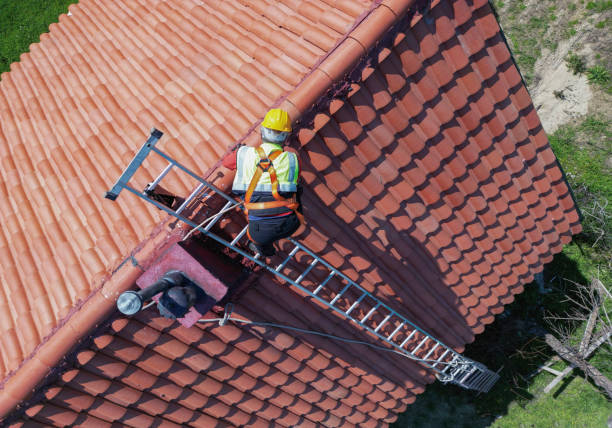 Best Asphalt Shingle Roofing  in Gotha, FL